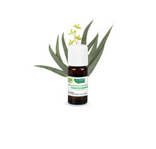 Phytosun Aromatherapie Essentiële Olie Eucalyptus Radiata Olie 10ml