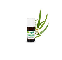 Phytosun Aromatherapie Essentiële Olie Eucalyptus Globulus Olie 10ml