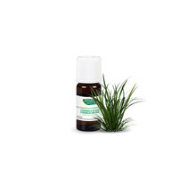 Phytosun Aromatherapie Essentiële Olie Citronella van Java Olie 10ml