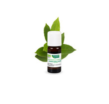 Phytosun Aromatherapie Essentiële Olie Laurier Olie 10ml