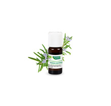 Phytosun Aromatherapie Essentiële Olie Rozemarijn Olie 10ml