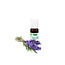Phytosun Phytosun Aromatherapie Essentiële Olie Lavendel Officinalis Olie 10ml