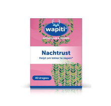 Wapiti Nachtrust Forte 40Dragees