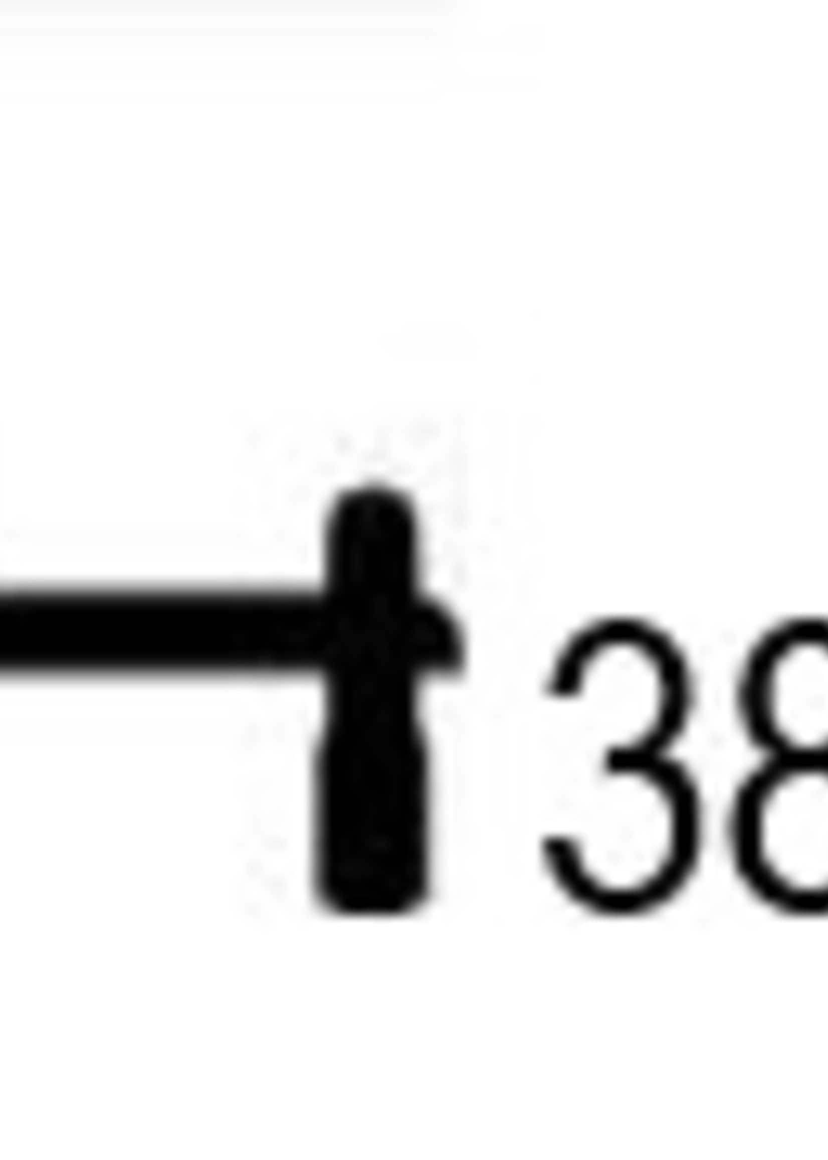 Unbranded HA21_Hanger