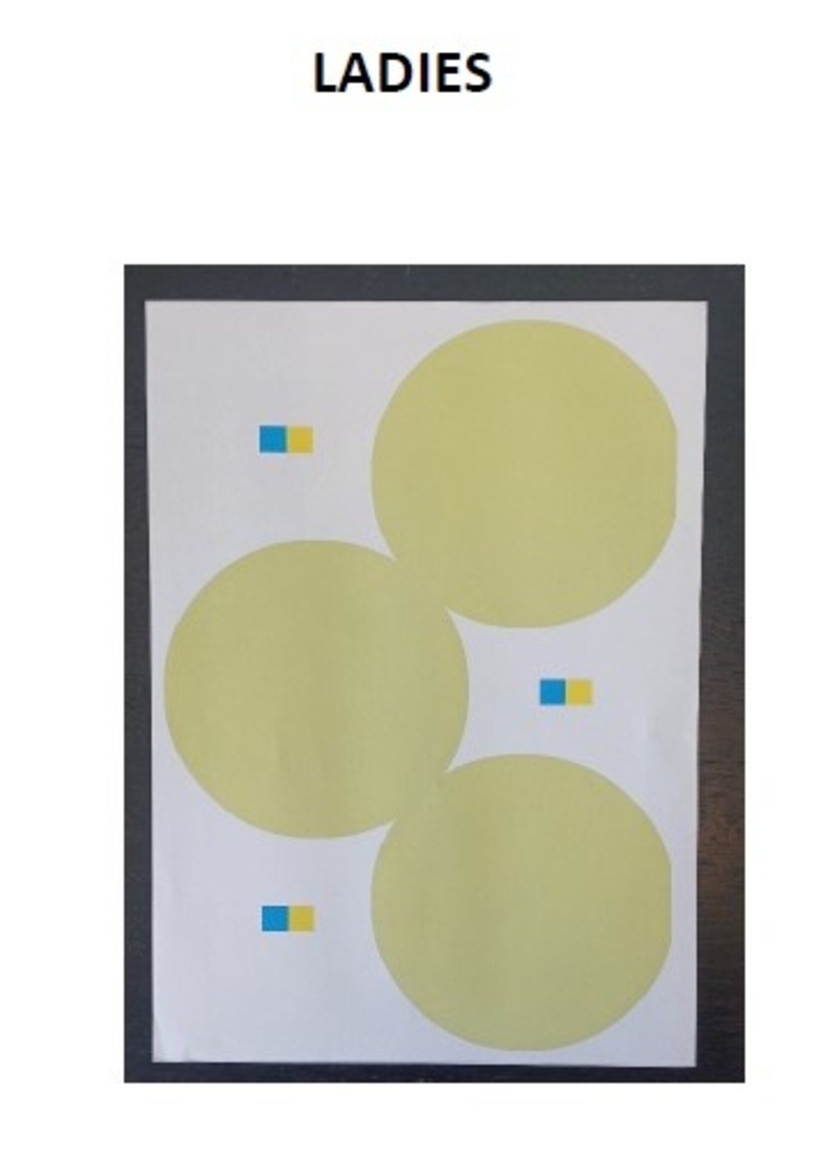 COS 2215_Round divider stickers blanc yellow