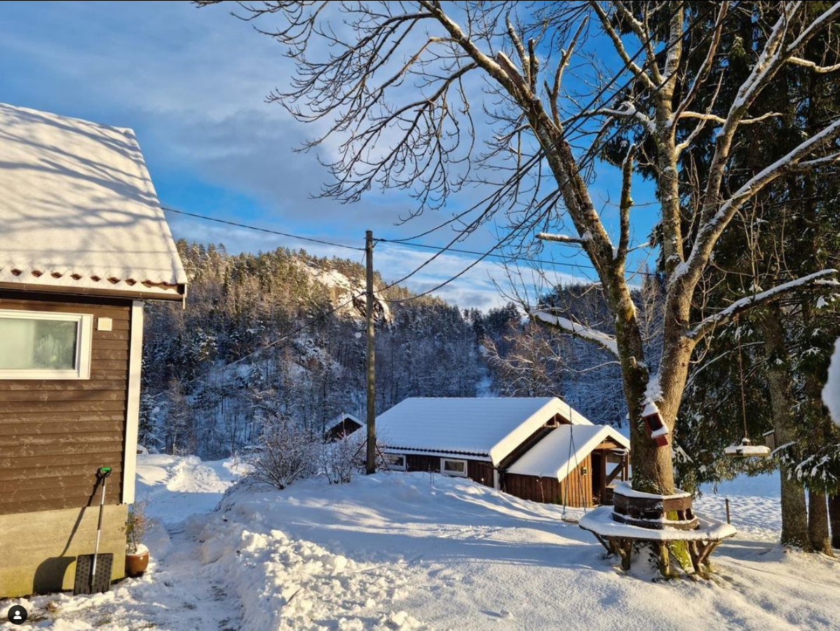 Winter in Scandinavië