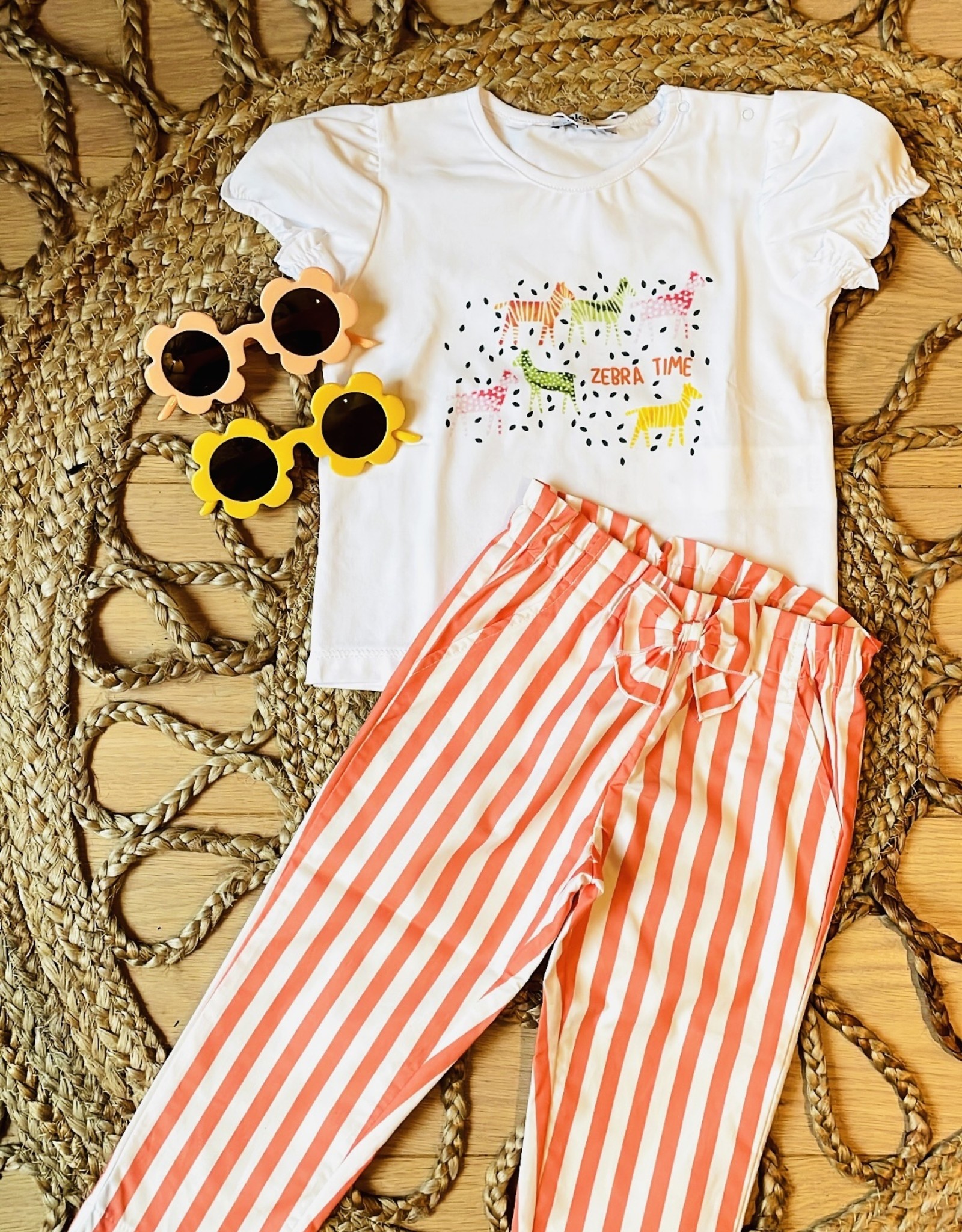 Aletta / T-shirt girafjes