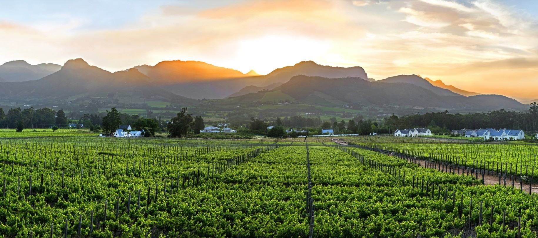 Franschhoek