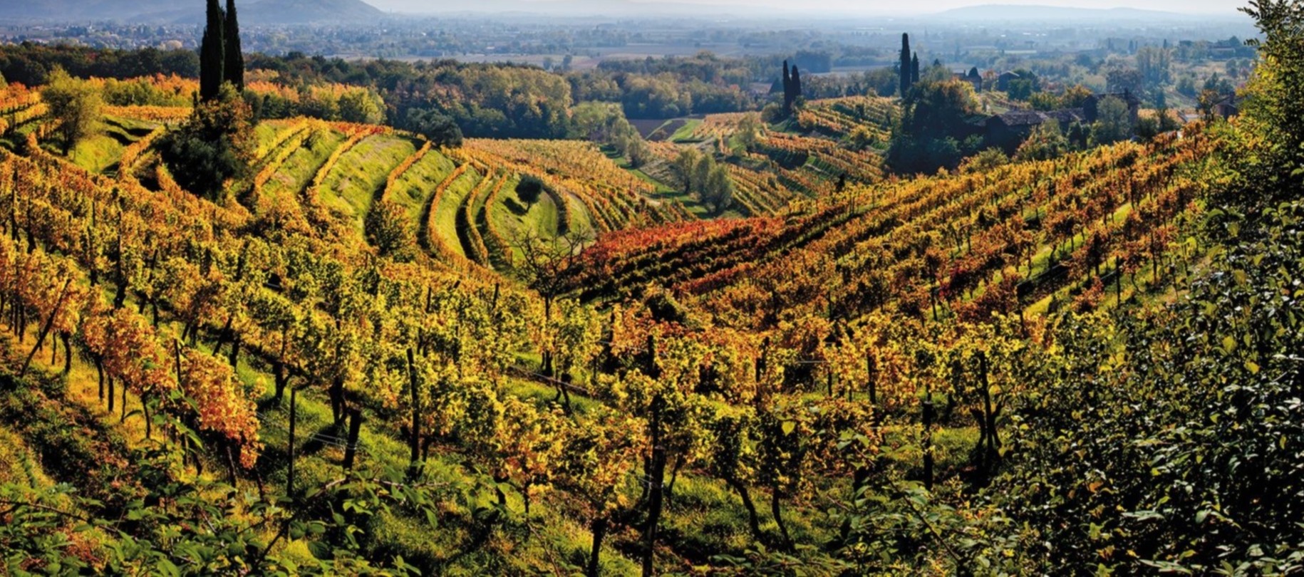 Friuli-Venezia Giulia