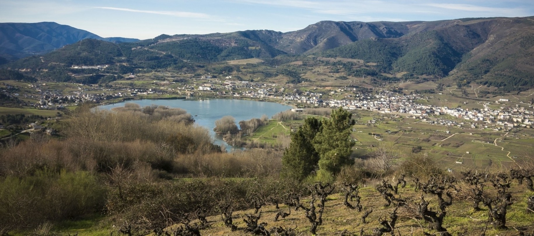 Pago de los Capellanes