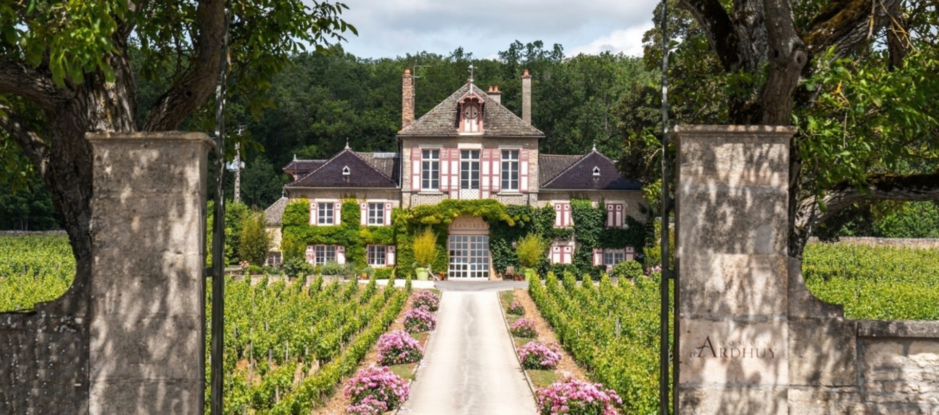 d'Ardhuy