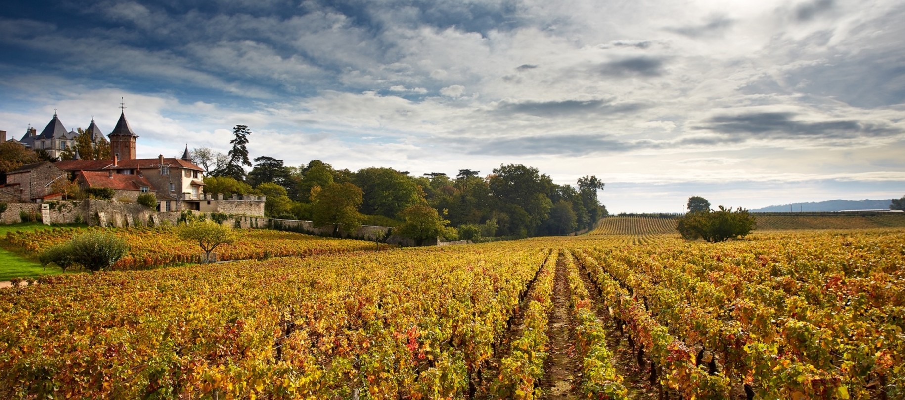 les Champs de l'Abbaye