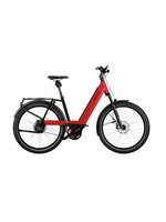 RIESE & MÜLLER Nevo4 GT Vario  625Wh / Kiox 300 /  43cm / Kit comfort / ABS 2.0 / Sella riscaldata / Portapacchi anteriore con borsa / lucchetto a catena in aggiunta / dynamic red metallic