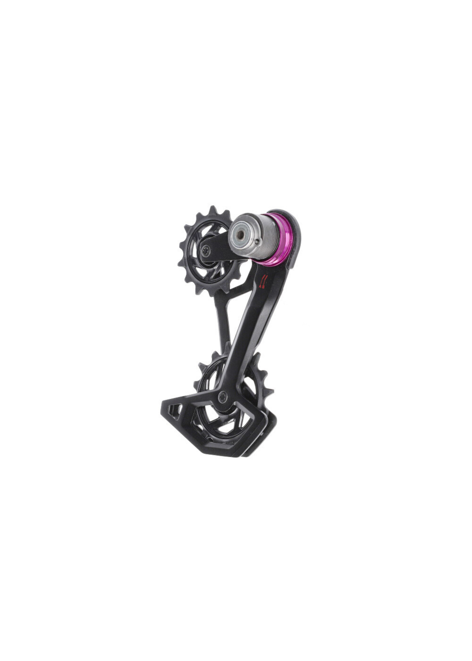 SRAM RD Cage Assembly Kit, GX Eagle T-Type AXS