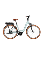 RIESE & MÜLLER Swing4 vario Salvia matt 43