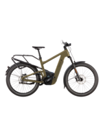 RIESE & MÜLLER Delite5 GT pinion HS 800wh 51cm Amber - RX chip