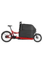 RIESE & MÜLLER Packster CT 70 Touring