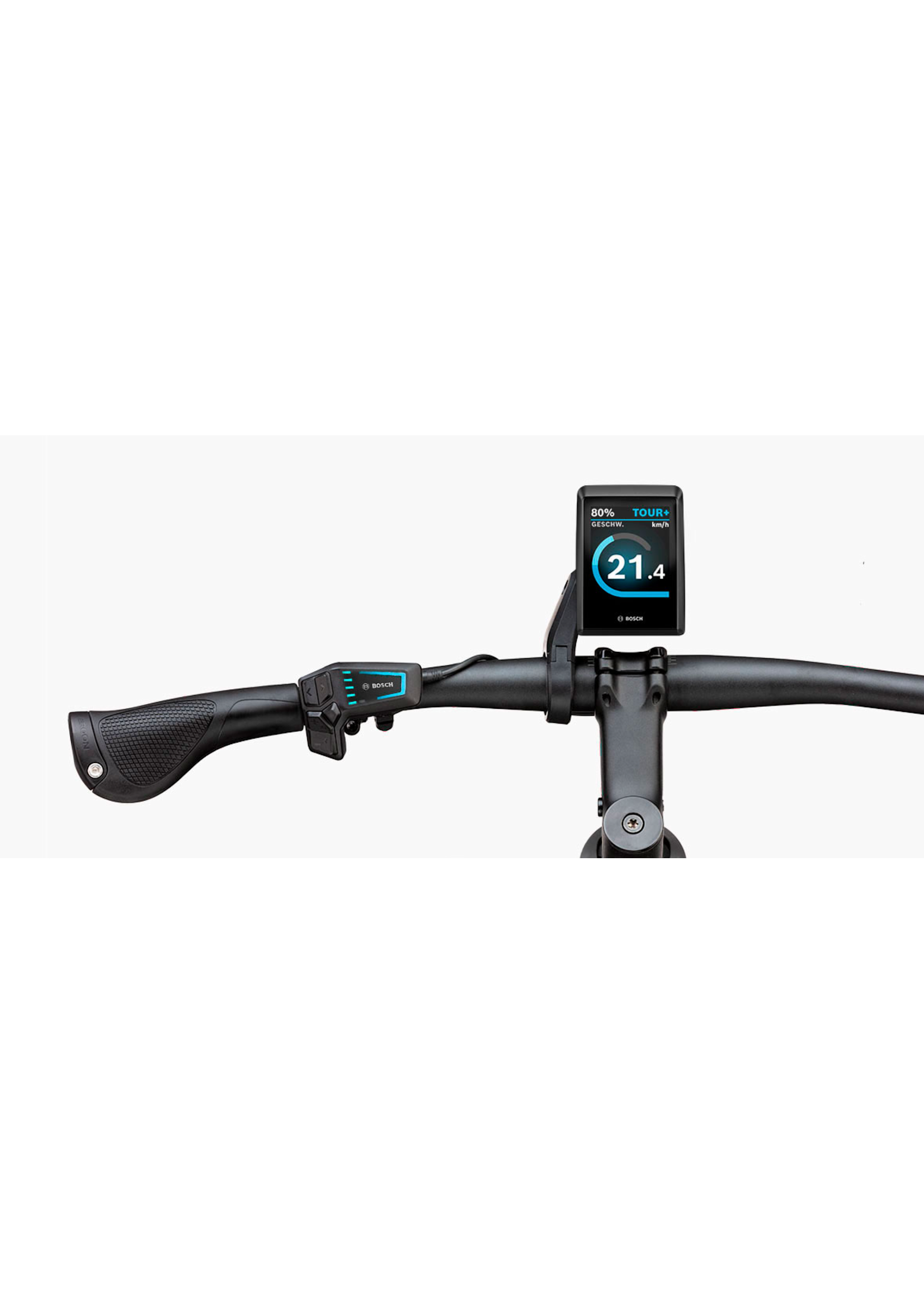 RIESE & MÜLLER Roadster4 Touring / Black Matt / 56cm / 625Wh / Kiox 300 / Porta pacchi / Lucchetto con catena e borsa