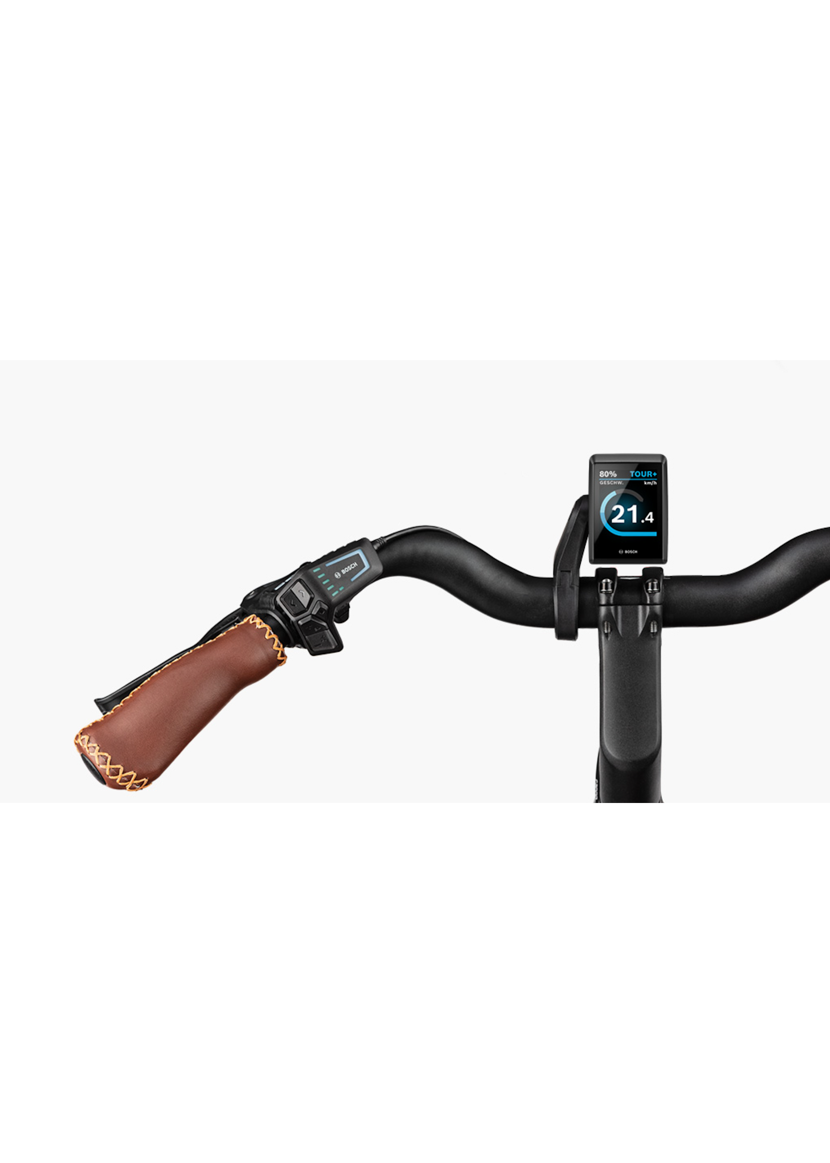 RIESE & MÜLLER Swing4 vario Salvia matt 43