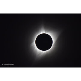 Matinee ECLIPS 26 op zondagnamiddag 29 maart 26 bij Urania in Hove