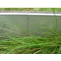 Versandmetall Bordure de pelouse robustes Rails de gravier en acier inoxydable 130-200mm de haut, b = 20mm de large