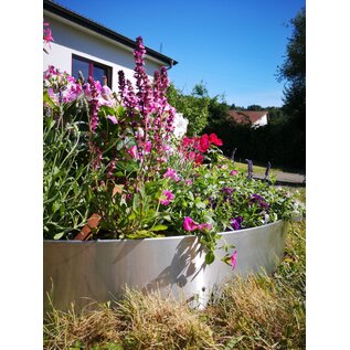 Versandmetall Anneau de plantation en acier inoxydable (V2A) en 2 parties, diamètre 1260 mm, bordure de pelouse ronde avec pli, anneau pré-cintré en demi-coquille, hauteur 20 cm