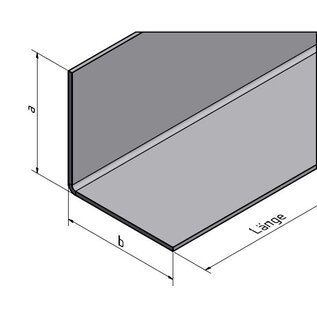 Versandmetall Angle inox grand 90°  axb 180x180mm  Länge 1000 mm