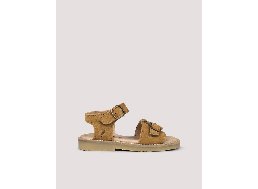 Petit Nord Buckle Sandal Amber suede
