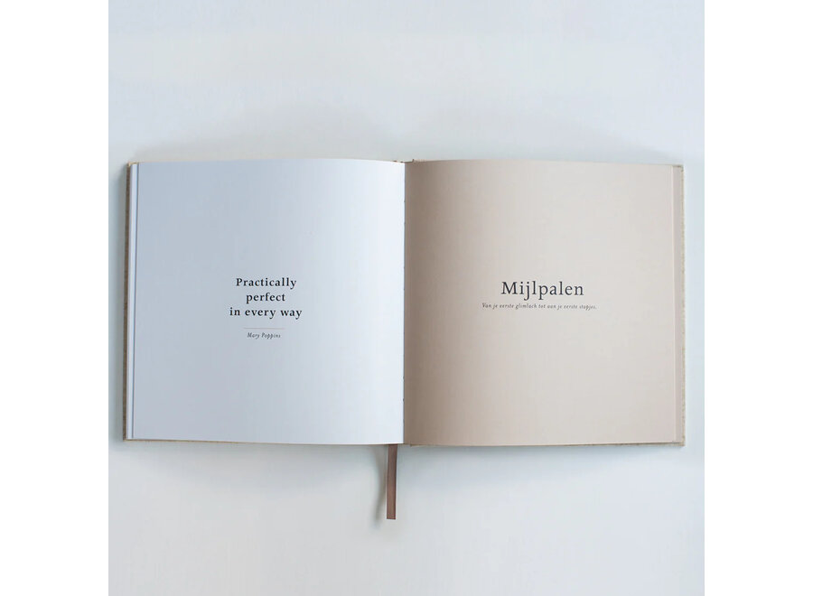 Leukigheidjes Eerste jaar invulboek linnen