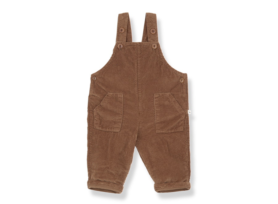 1+ Benoit Lined Overall Castagna