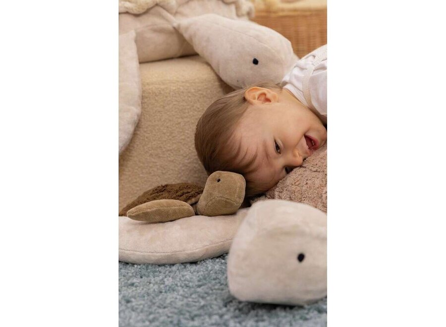 Senger druivenpitkussen