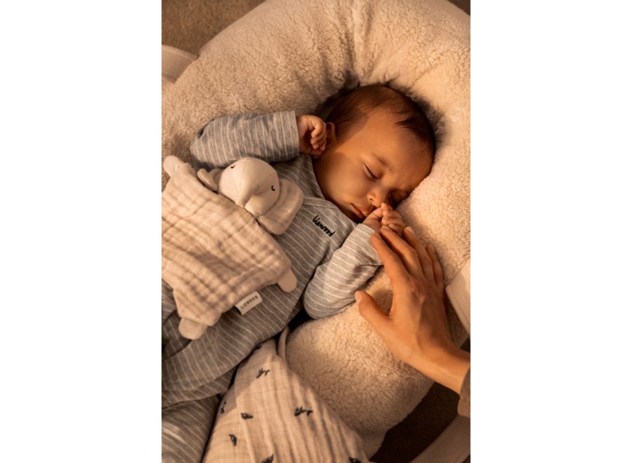 LW Amaya Elephant Cuddle Teddy Sandy