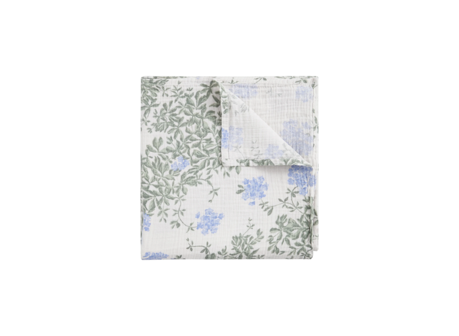Garbo&friends swaddle big Plumbago