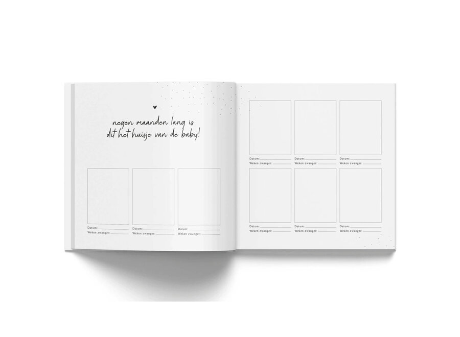 Invulboekjes zwanger 9 maandenboek taupe