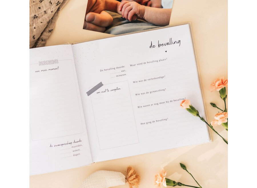 Invulboekjes baby eerste jaar taupe