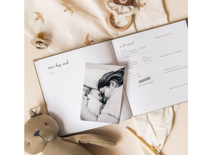 Invulboekjes baby eerste jaar taupe