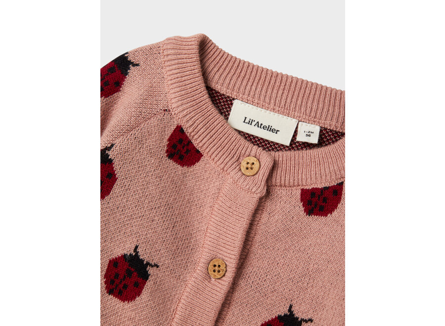 Lil' Atelier Lulio Knit Card Noos Misty Rose