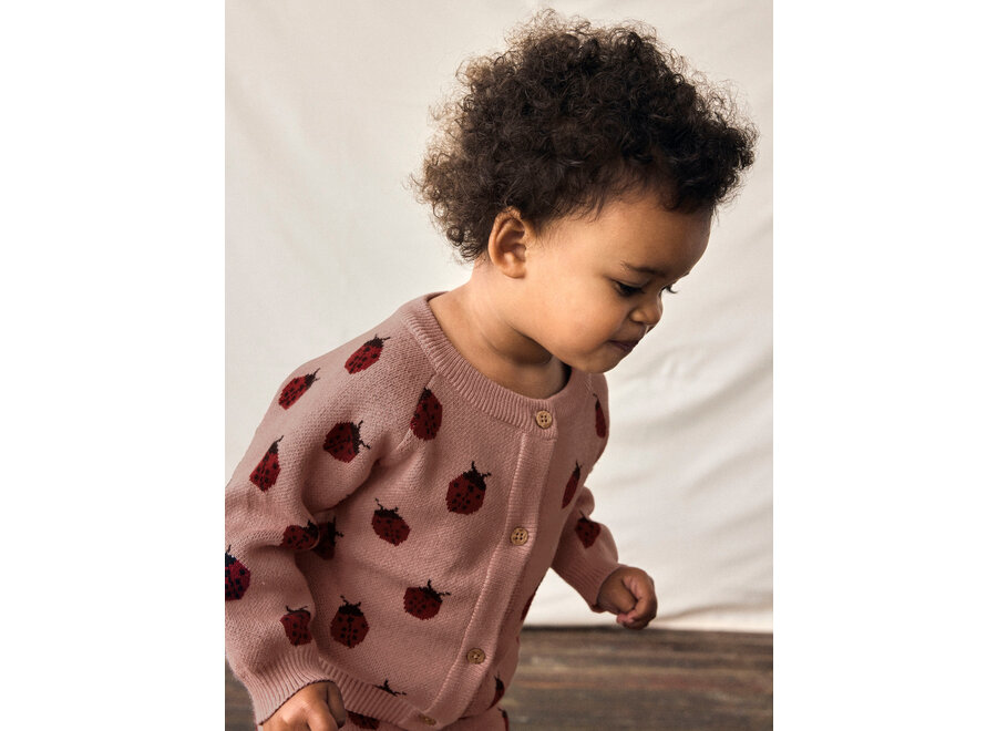 Lil' Atelier Lulio Knit Card Noos Misty Rose