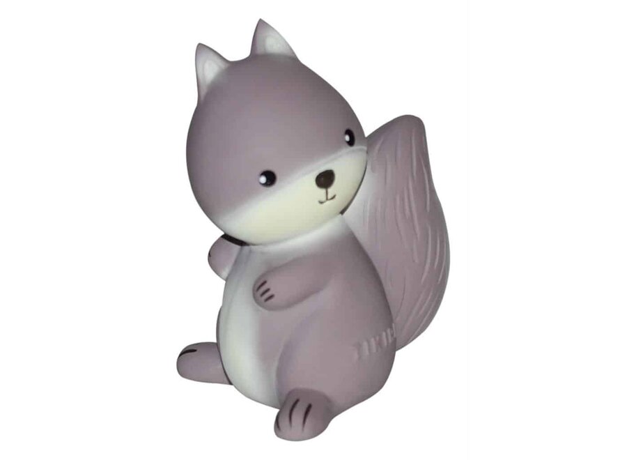 Tikiri Bad- en bijtspeeltje Eekhoorn