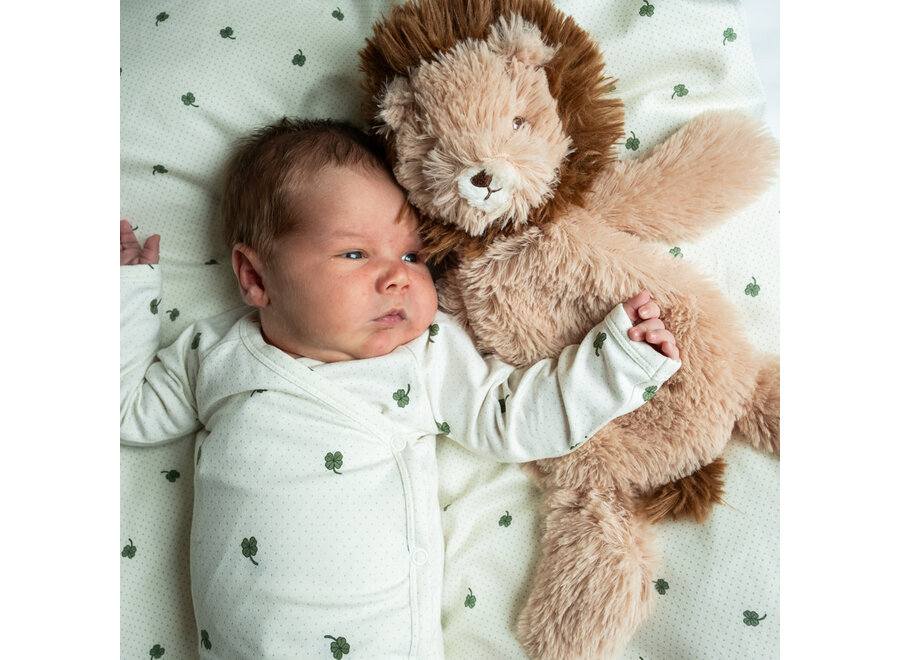 That's Mine heavy teddy large lion