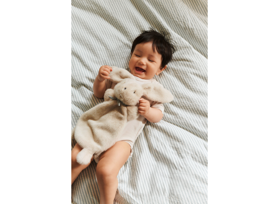 LW Roy Rabbit Cuddle Cloth Mist