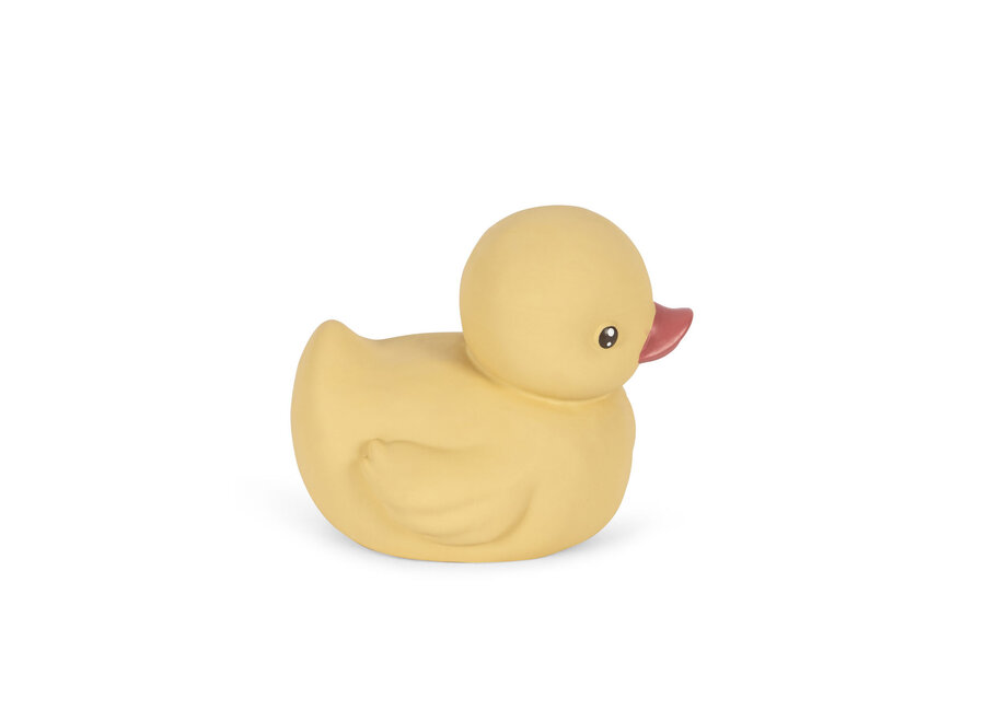 Fanga Duck bath toy