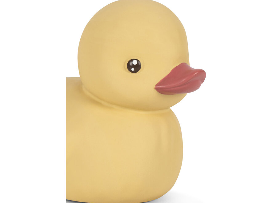 Fanga Duck bath toy