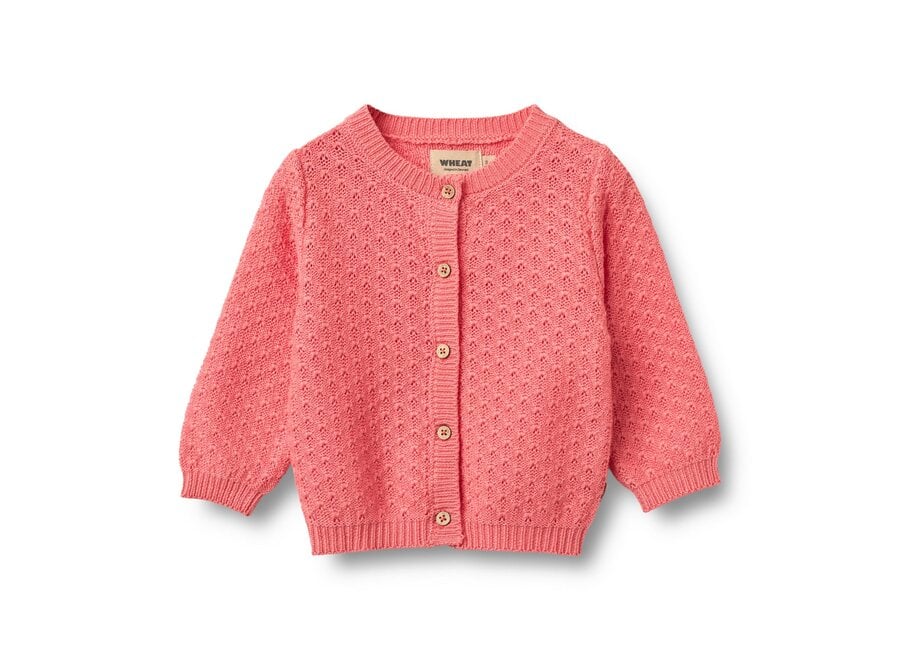 Wheat Knit Cardigan Magnella Coral