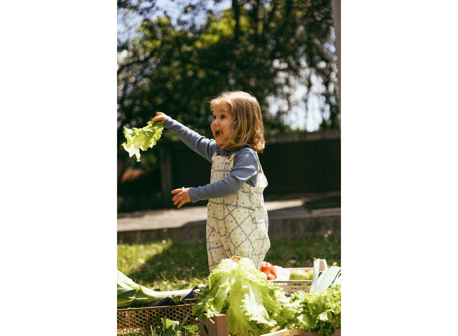 Snug Longsleeve kraag Indigo