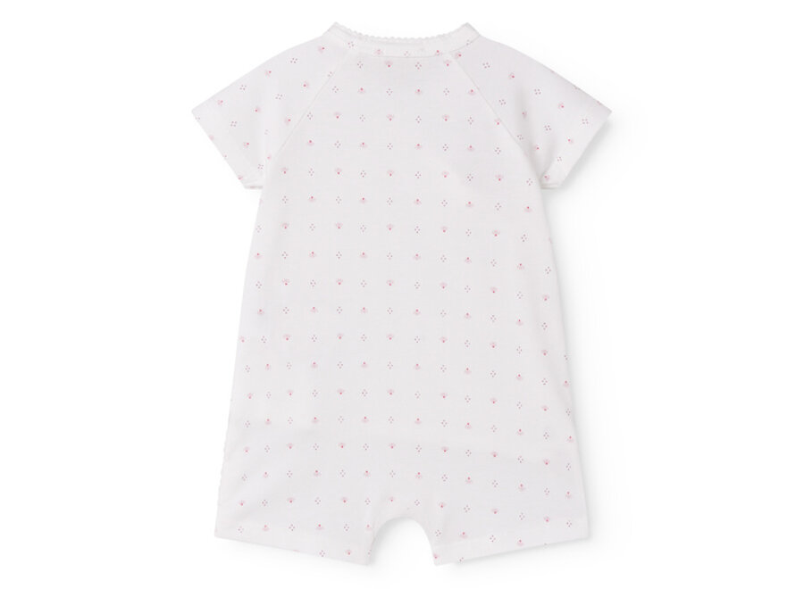 Marmar Rap SS Boxpak Tiny Tulip