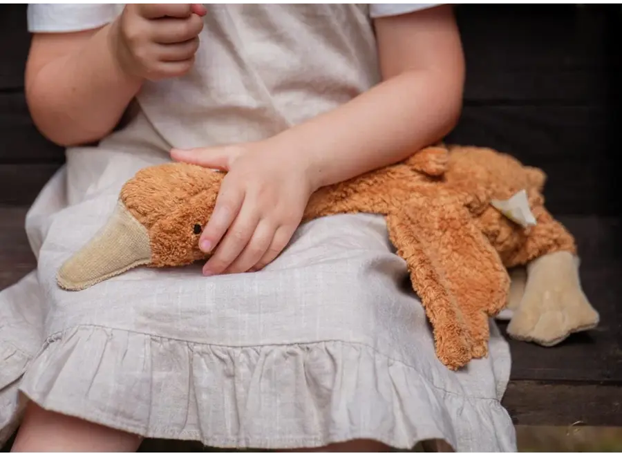 Senger warmte gans rust