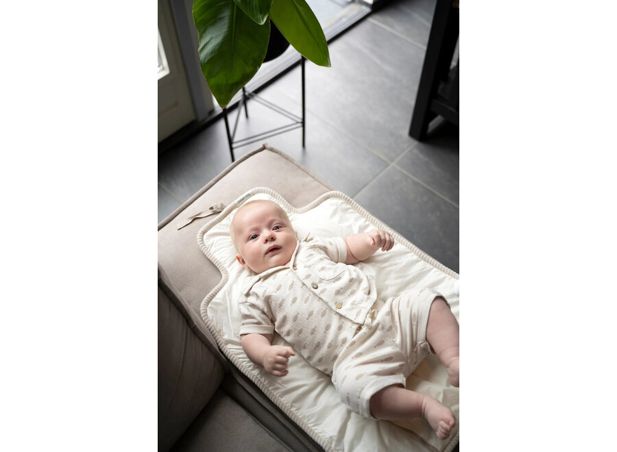 Babys Only Short Fin