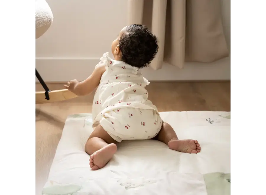 Babys Only Short Cherry