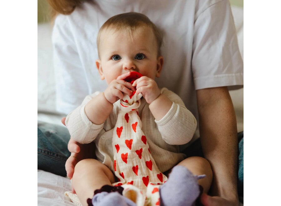 AP Pacifier Cuddle Cloth | J'Adore